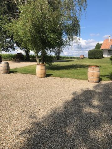 Gite Les Pins Perdus Saint-Ciers-d'Abzac Kültér fotó