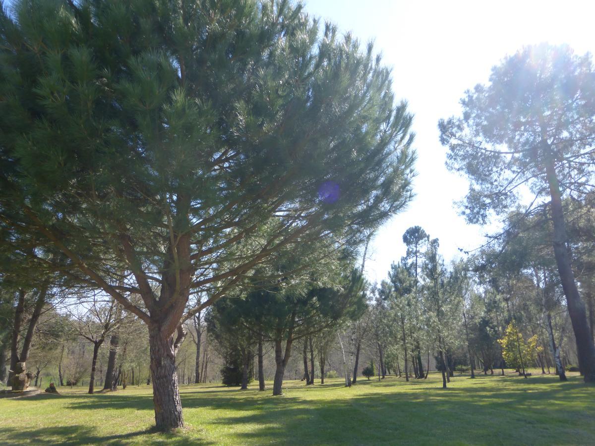 Gite Les Pins Perdus Saint-Ciers-d'Abzac Kültér fotó